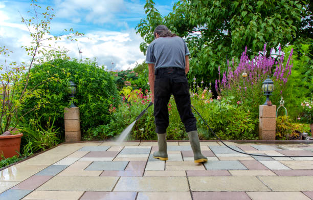Best Winterizing Services  in Clemson, SC